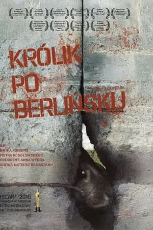 Постер к фильму Кролик по-берлински 2009