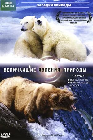 Постер к фильму BBC: Величайшие явления природы 2009