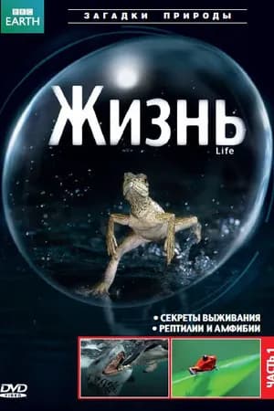 Постер к фильму BBC: Жизнь 2009