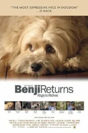 Постер к фильму Возвращение Бенджи 2004
