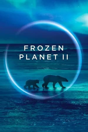Постер к сериалу BBC: Замерзшая планета 2 2022