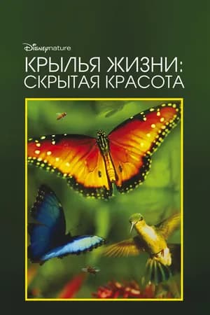 Постер к фильму Крылья жизни: Скрытая красота 2011