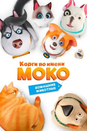 Постер к фильму Корги по имени Моко. Домашние животные 2019