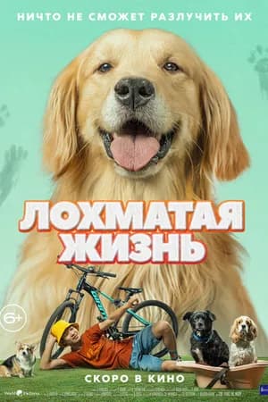 Постер к фильму Лохматая жизнь 2023