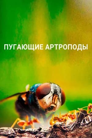 Постер к сериалу Пугающие артроподы 2020
