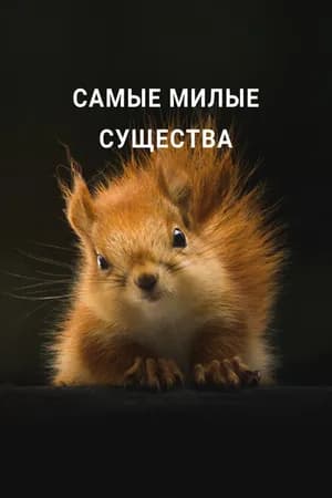 Постер к фильму Самые милые существа 2021