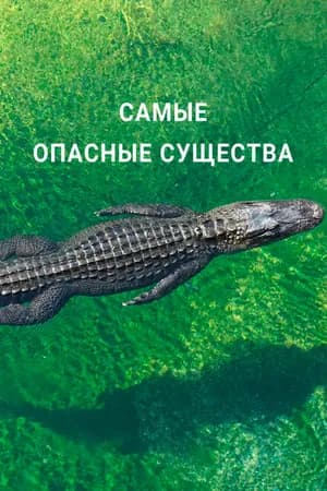 Постер к фильму Самые опасные существа 2021