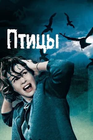 Постер к фильму Птицы 1963