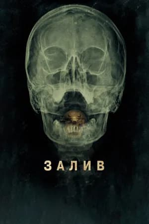 Постер к фильму Залив 2012