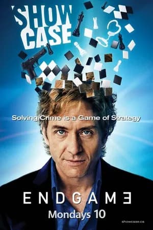 Постер к фильму Конец игры 2011