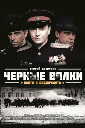 Постер к фильму Черные волки 2011