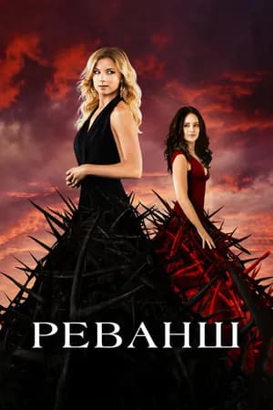 Постер к фильму Реванш 2011