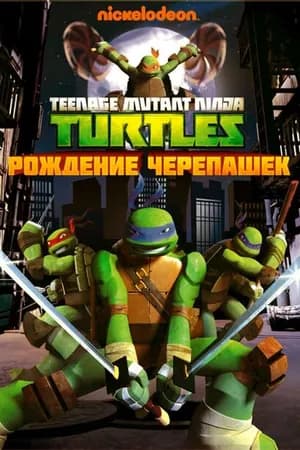 Постер к фильму Черепашки-ниндзя 2012