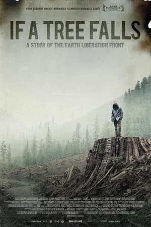 Постер к фильму Если дерево упадет 2011