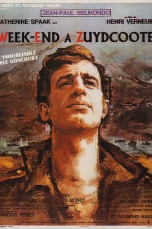 Постер к фильму Уик-энд в Зюйдкоте 1964