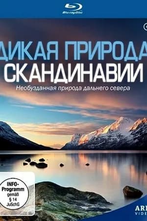Постер к сериалу Дикая природа Скандинавии 2011