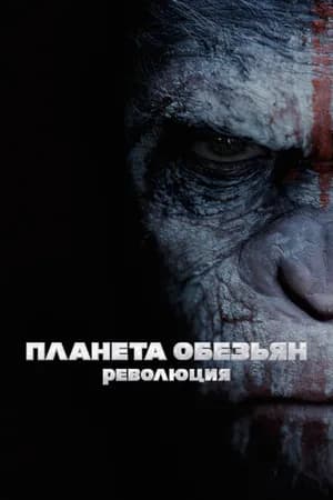 Постер к фильму Планета обезьян: Революция 2014