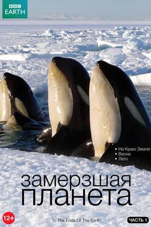 Постер к фильму BBC: Замерзшая планета 2011