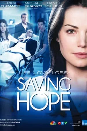 Постер к сериалу В надежде на спасение 2012