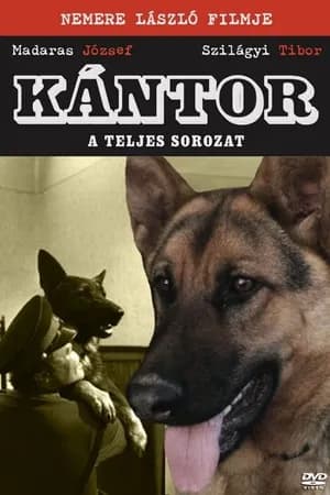 Постер к фильму Кантор 1976