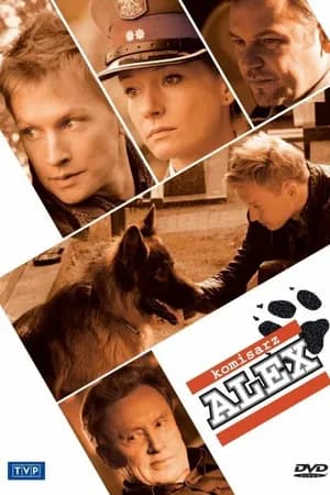 Постер к сериалу Комиссар Алекс 2012