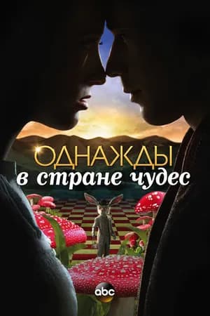 Постер к фильму Однажды в стране чудес 2013