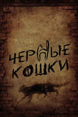 Постер к фильму Черные кошки 2013