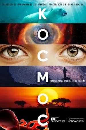 Постер к фильму Космос: Пространство и время 2014