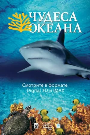 Постер к фильму Чудеса океана 3D 2003
