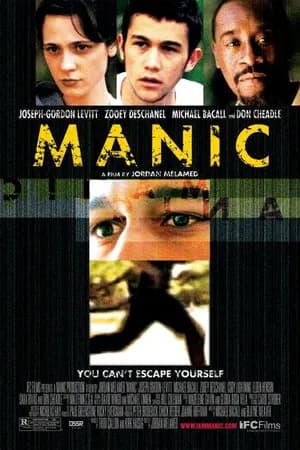 Постер к фильму Маниакальный 2001