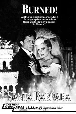 Постер к фильму Санта-Барбара 1984