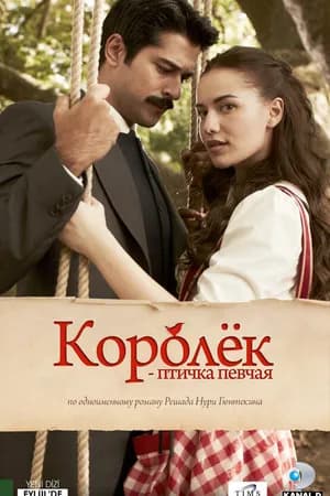 Постер к фильму Королёк – птичка певчая 2013