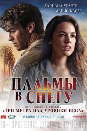 Постер к фильму Пальмы в снегу 2015