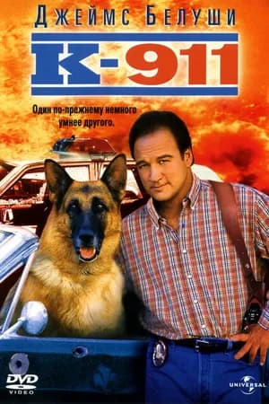 Постер к фильму К-911 1999