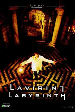 Постер к фильму Лабиринт 2002
