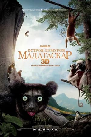 Постер к фильму Остров лемуров: Мадагаскар 2014