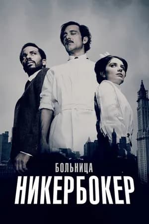 Постер к фильму Больница Никербокер 2014