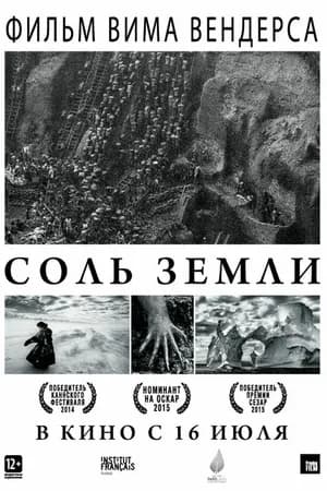 Постер к фильму Соль Земли 2014