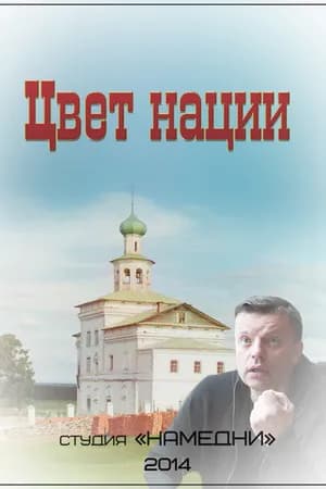 Постер к фильму Цвет нации 2013