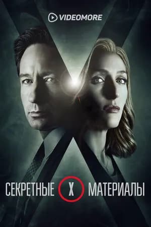 Постер к фильму Секретные материалы 2015