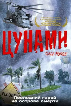 Постер к фильму Цунами 2002