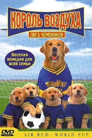Постер к фильму Король воздуха: Лига чемпионов 2000