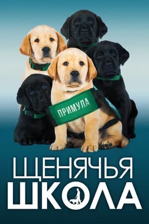Постер к фильму Щенячья школа 2018